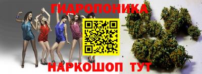 каннабис Кунгур