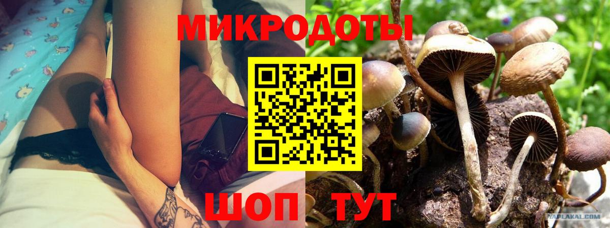 Псилоцибиновые грибы мицелий Томск