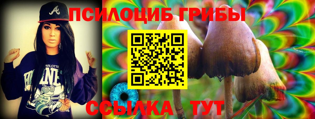 Псилоцибиновые грибы GOLDEN TEACHER  Вход с VPN  купить наркоту  Томск 
